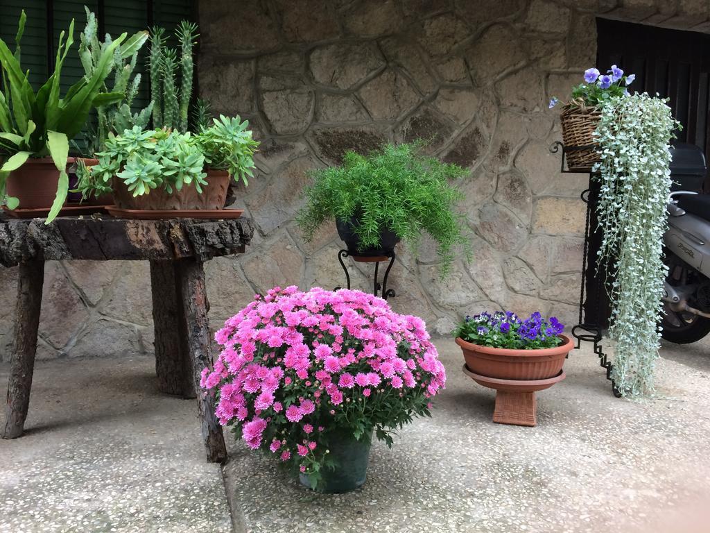 Tencarola B & B Екстериор снимка